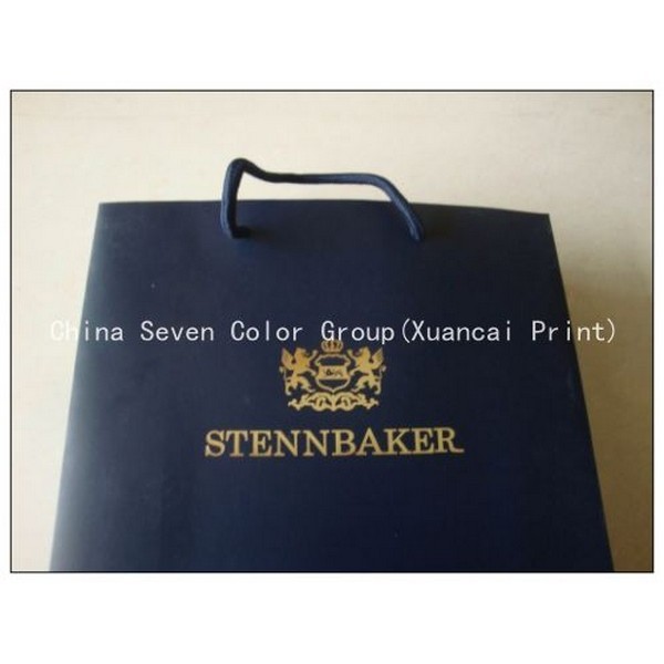 Asia Colorful Printing Paper Bag 12 Years Experience Factory 